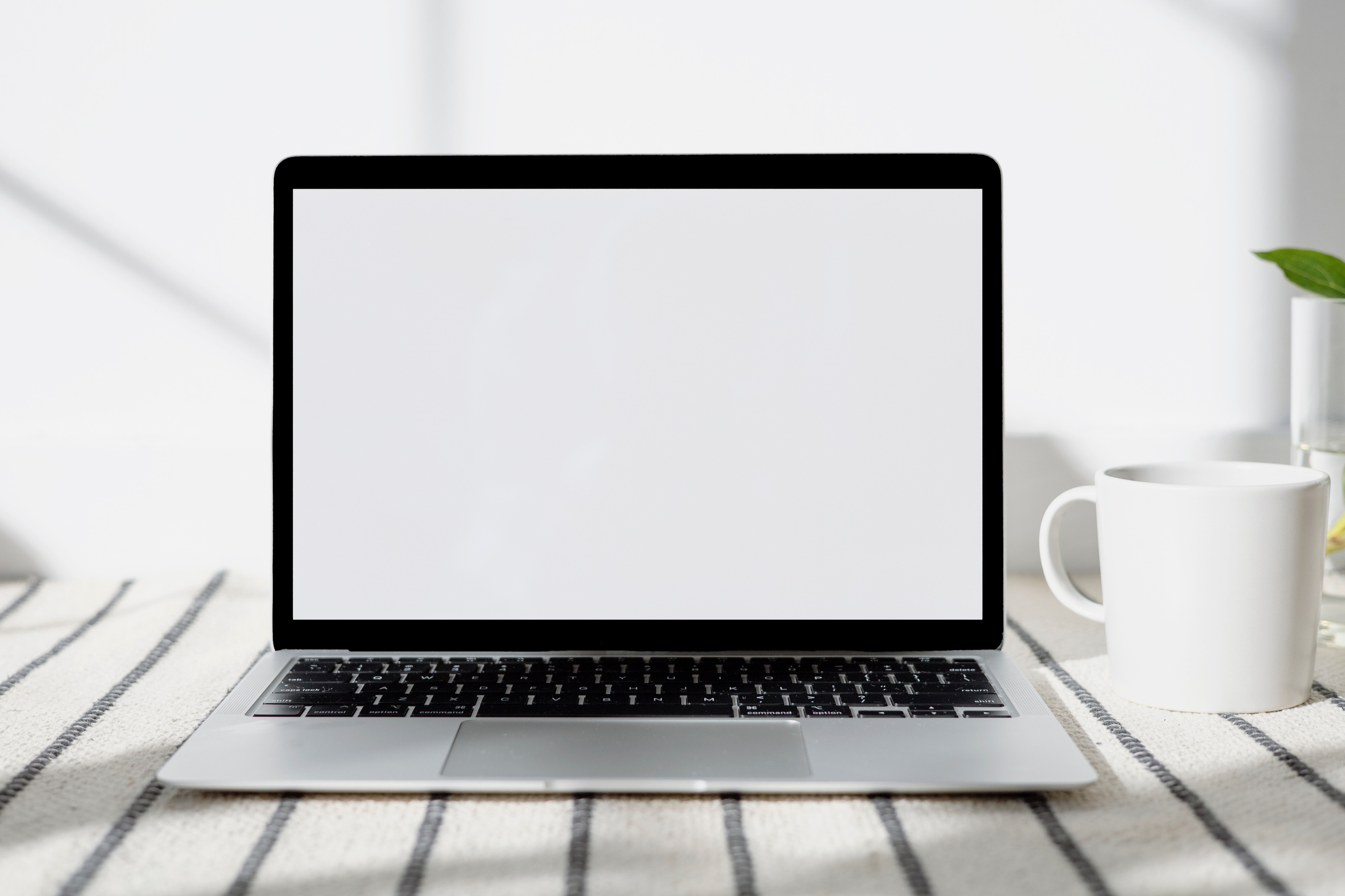 A Laptop With a White Screen